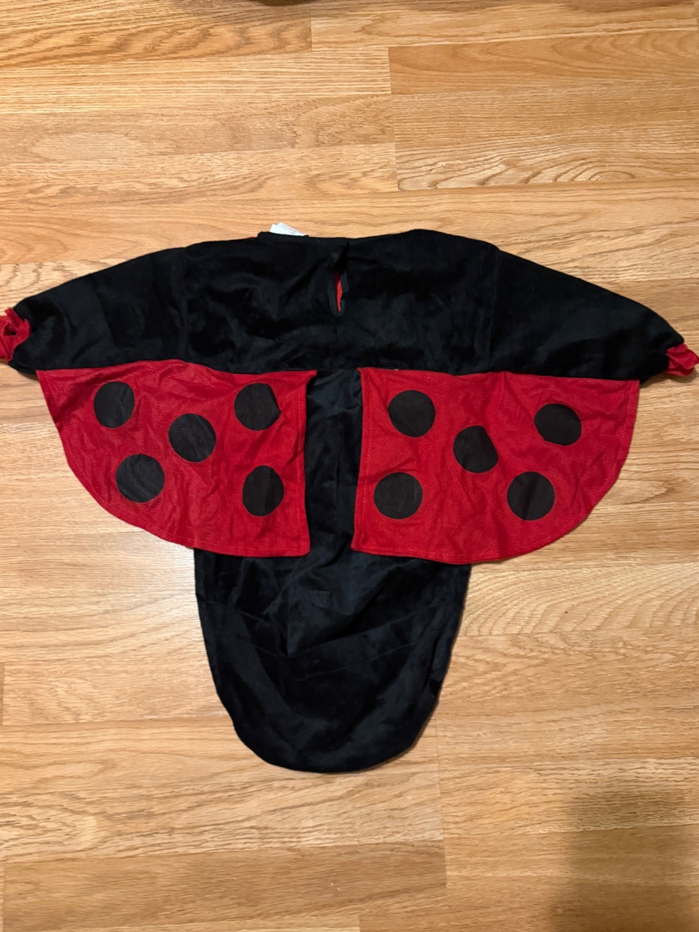 Baby ladybug costume